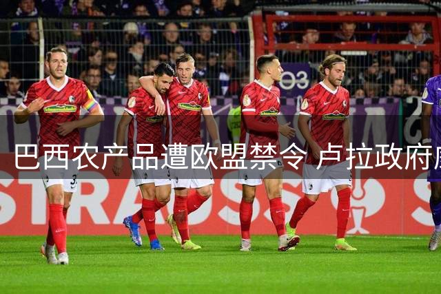 巴西农产品遭欧盟禁令 卢拉政府威胁采取反制